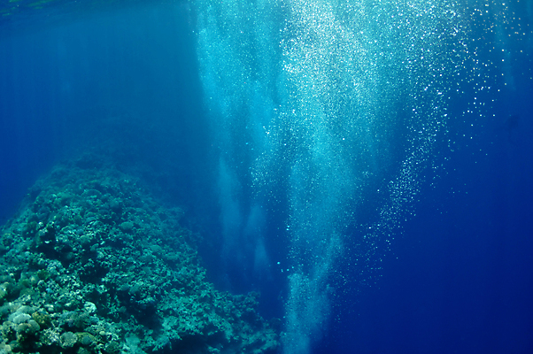 포토 JPG 해외이미지 바다 백그라운드 패턴 모션 자연 추상 풍경 사람없음 세로 물 파란색 빛 햇빛 반사 우주 수중 수영 활발 거품 탐험 광선 액체 산호 작음 아래 다이빙 질감 암초 깊이 소금물 여의주 터키석 특별함 해외포토 자연요소 컬러 컨셉 무늬 태양 수상스포츠 자포동물 크기 보석 방향 생태계 위치 수중스포츠 파일형식 이미지허브