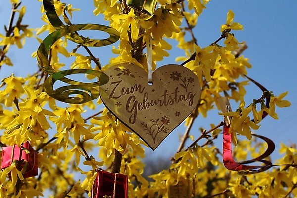 포토 JPG 해외이미지 기념일 꽃무늬 자연 사람없음 희망 벚꽃 축하 생일 해외포토 꽃 감정 컨셉 무늬 이벤트 생태계 파일형식 이미지허브