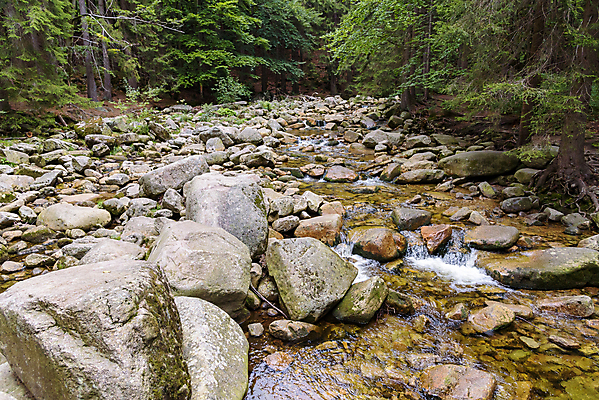 포토 JPG 해외이미지 나무 계절 공원 유럽 여행 백그라운드 자연 산 풍경 사람없음 야외 목재 초록색 물 여름 강 환경 폭포 흐름 추위 바위 나뭇가지 개울 숲 장면 체코 내추럴 전국 해외포토 자연요소 식물 공공시설 나라 컬러 컨셉 재료 돌_바위 생태계 파일형식 이미지허브
