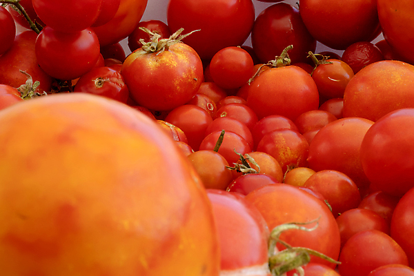 포토 JPG 해외이미지 길 음식 백그라운드 농업 다이어트 토마토 채소 과일 재료 자연 건강 요리 사람없음 빨간색 초록색 농작물 컬러풀 정원 이탈리아 샐러드 수확 신선 체리 그룹 변화 시장 맛 떨어짐 다발 먹기 가득함 상쾌 유기농 날것 모음 바질 고립 영양분 채식주의자 해외포토 웰빙 감정 유럽 산업 컬러 컨셉 모션 생태계 채식 파일형식 이미지허브