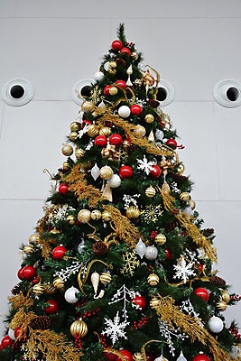 포토 JPG 해외이미지 나무 계절 행복 아시아 백그라운드 크리스마스 겨울 공 휴가 기념 사람없음 장식 빨간색 초록색 빛 크리스마스트리 축제 축하 오브젝트 해외포토 식물 기념일 감정 나라 컬러 컨셉 파일형식 이미지허브