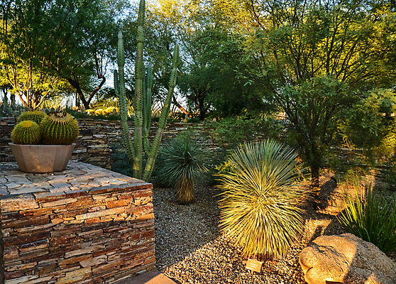 포토 JPG 해외이미지 나무 식물 꽃 분홍색 여행 백그라운드 꽃무늬 과일 자연 날씨 선인장 건조 풍경 사람없음 초록색 물 여름 파란색 컬러풀 보라색 사막 뜨거움 액체 냄비 숲 척추 내추럴 해외포토 자연요소 계절 컬러 무늬 뼈 솥 생태계 파일형식 이미지허브