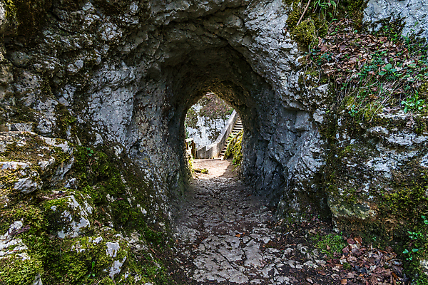 포토 JPG 해외이미지 나무 응시 공원 벽 여행 창문 자연 하늘 산 사람없음 야외 초록색 물 파란색 강 골짜기 수영 폭포 하이킹 시골 동굴 숲 악마 천국 내추럴 다뉴브강 방법 보호구역 바이에른 해외포토 자연요소 식물 시선 공공시설 컬러 레저 독일 수상스포츠 생태계 구역 파일형식 이미지허브