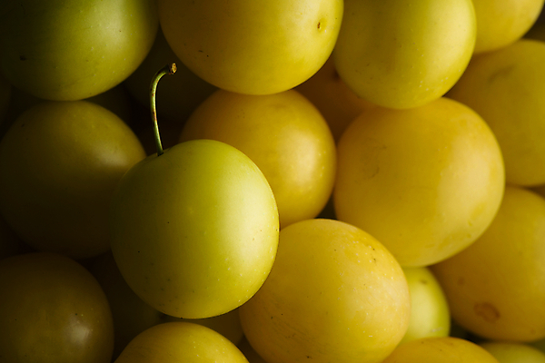 포토 JPG 해외이미지 계절 음식 줄기 백그라운드 채소 과일 프레임 건강 그림자 사람없음 빛 컬러풀 노란색 쌓기 정원 수확 신선 원형 체리 닫기 선택 달콤 맛 인스턴트 가득함 준비 유기농 질감 소재 자두 흙더미 건강식 숙성 정물화 많음 강조 해외포토 도형 식물 웰빙 컬러 컨셉 농업 모션 흙 그림 파일형식 더미 이미지허브