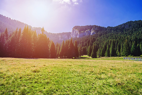 포토 JPG 해외이미지 나무 유럽 여행 밭 농업 자연 하늘 산 파노라마 풍경 사람없음 야외 목재 초록색 여름 파란색 농가 농경지 마을 계곡 시골 숲 언덕 그림 루마니아 내추럴 산악지대 밭일 트란실바니아 해외포토 식물 계절 나라 산업 컬러 재료 촬영기법 농장 생태계 파일형식 이미지허브