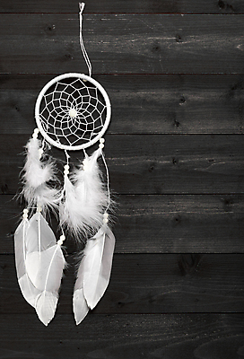 포토 JPG 해외이미지 전통 디자인 문화 백그라운드 추상 주택 사랑 사람없음 내부 목재 장식 유행 미국 침실 꿈 바위 흰색 원형 영혼 보호 인도인 심볼 깃털 오브젝트 사인 질감 공상 마법 포수 부족 부적 콘크리트 핸드메이드 해외포토 도형 외국인 나무 감정 컬러 컨셉 북아메리카 무늬 재료 동양인 건물 돌_바위 야구선수 파일형식 이미지허브