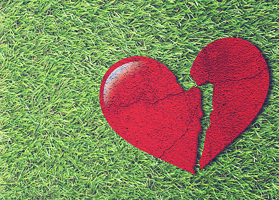 포토 JPG 해외이미지 모양 디자인 감정 백그라운드 컨셉 관계 자연 추상 이야기 사랑 미술 잔디 사람없음 빨간색 초록색 여름 우주 수확 하트 충돌 심볼 사인 그림 질감 복고 기회 열정 고정 문제 해결 깨짐 해외포토 식물 계절 컬러 무늬 농업 문화예술 생태계 파일형식 이미지허브