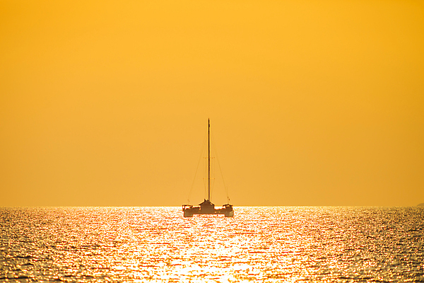 포토 JPG 해외이미지 나무 모래 파도 바다 섬 여행 요트 부분 가족 태국 자연 하늘 휴가 선인장 아이디어 항해 사람 풍경 사람없음 빨간색 물 여름 파란색 햇빛 태양 반사 노란색 여행객 항구 수영 일몰 도시 만 지중해 오브젝트 함선 모터보트 닻 스카이라인 해외포토 자연요소 식물 계절 아시아 컬러 컨셉 배_교통 관계 교통시설 노을 수상스포츠 생태계 파일형식 이미지허브