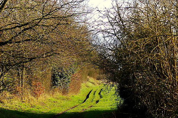 포토 JPG 해외이미지 나무 유럽 도로 길 벽 여행 밭 농업 창문 자국 자연 사람없음 야외 초록색 농장 여행객 환경 프랑스 시골 숲 오솔길 장면 지역 내추럴 프랑스어 방법 밭일 선로 그리너리 해외포토 식물 문자 나라 산업 컬러 교통시설 사람 생태계 파일형식 트랜드컬러 이미지허브