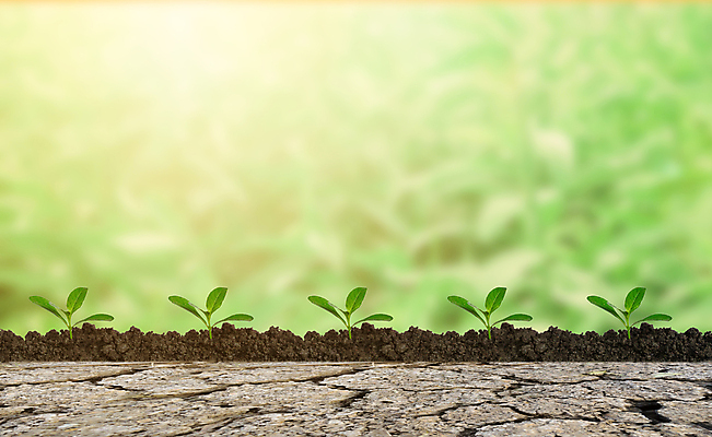 포토 JPG 해외이미지 나무 식물 지구 백그라운드 컨셉 잎 농업 자연 표면 새로움 건조 씨앗 사람없음 초록색 물 글로벌 갈색 새싹 환경 정원 흙 사막 성장 뜨거움 균열 보호 작음 땅 먼지 가뭄 깨짐 땅바닥 모종 생태학 재앙 해외포토 자연요소 교육 산업 컬러 모션 날씨 바닥 크기 생태계 파일형식 이미지허브