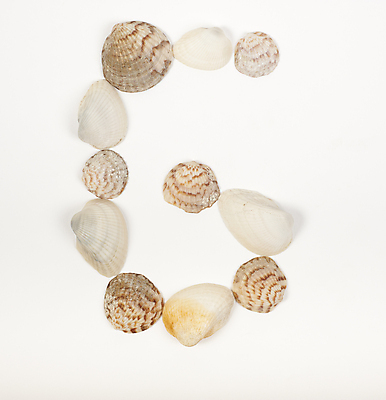 포토 JPG 해외이미지 모양 알파벳 백그라운드 텍스트 벽지 조개 사람없음 껍질 흰색 기록 편지 고립 해외포토 영어 컬러 어패류 파일형식 이미지허브