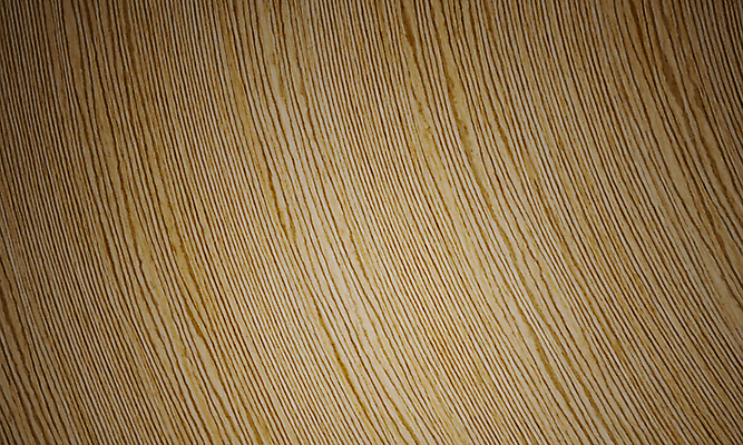 포토 JPG 해외이미지 나무 디자인 벽 가구 백그라운드 패턴 일러스트 자연 벽지 탁자 표면 추상 바닥 프레임 사람없음 목재 장식 갈색 소나무 판넬 구멍 거친 널 낟알 타일 책상 질감 목공예 잡동사니 내추럴 수목 옛날 파케트 해외일러스트 식물 컬러 생활용품 무늬 재료 공예 생태계 파일형식 이미지허브