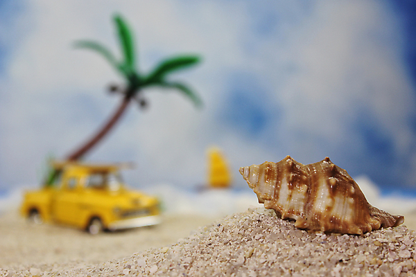 포토 JPG 해외이미지 나무 공원 모래 바다 섬 여행 백그라운드 자동차 자연 하늘 휴가 조개 손바닥 풍경 해변 사람없음 야외 물 여름 파란색 야자수 태양 봄 수확 껍질 서핑 산호 사인 휴양지 복고 짐차 단절 파라다이스 해외포토 자연요소 식물 손 계절 공공시설 육상교통 컬러 농업 어패류 장소 수상스포츠 자포동물 생태계 파일형식 이미지허브