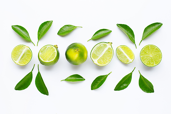 포토 JPG 해외이미지 잎 단면 사람없음 흰배경 라임 해외포토 식물 백그라운드 과일 흰색 파일형식 이미지허브