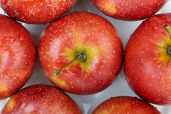 포토 JPG 해외이미지 디자인 음식 백그라운드 잎 패턴 농업 다이어트 과일 자연 추상 건강 사람없음 빨간색 초록색 세트 컬러풀 농장 정원 수확 흰색 신선 그룹 달콤 맛 사과 정상 유기농 날것 내추럴 고립 숙성 이국적 채식주의자 비건 해외포토 식물 웰빙 산업 컬러 컨셉 무늬 생태계 채식 파일형식 이미지허브