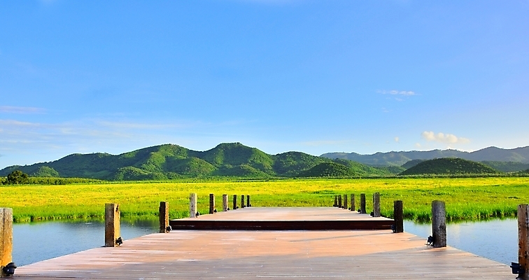 포토 JPG 해외이미지 나무 식물 계절 아시아 바다 백그라운드 밭 농업 자연 하늘 밥 아침 산 손바닥 사람없음 야외 초록색 물 파란색 햇빛 뷰티 농장 반사 정원 수확 성장 시골 땅 가득함 장면 수평선 해외포토 주간 자연요소 손 나라 산업 음식 컬러 태양 생태계 파일형식 이미지허브