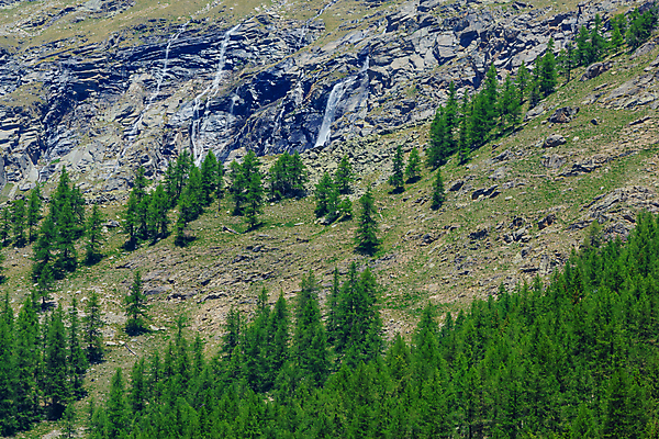 포토 JPG 해외이미지 나무 공원 자연 산 풍경 경사 사람없음 야외 초록색 이탈리아 폭포 회색 흰색 소나무 작음 큼 고도 암초 산기슭 전국 파라다이스 해외포토 식물 공공시설 유럽 컬러 크기 생태계 파일형식 이미지허브