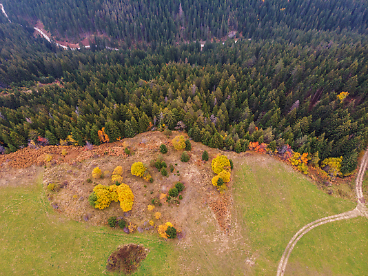 포토 JPG 해외이미지 나무 계절 공원 여행 백그라운드 잎 밭 오렌지 자연 산 안테나 사람없음 야외 목재 빨간색 세로 초록색 빛 컬러풀 태양 뷰티 노란색 환경 활발 시골 황무지 황금 정상 숲 11월 알프스 10월 내추럴 드론 해외포토 자연요소 식물 공공시설 유럽 컬러 컨셉 농업 과일 재료 통신 날짜 생태계 파일형식 이미지허브