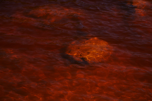 포토 JPG 해외이미지 유럽 산업 백그라운드 오렌지 자연 풍경 사람없음 야외 빨간색 물 강 컬러풀 노란색 와인 기계 흐름 물방울 개울 스페인 철 발굴 안달루시아 화학물질 해외포토 자연요소 나라 컬러 컨셉 과일 주류 화학 생태계 파일형식 이미지허브