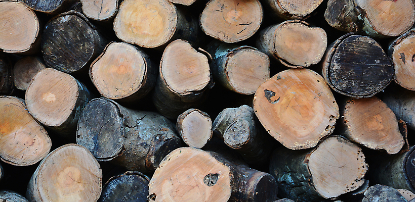 포토 JPG 해외이미지 모양 나무 식물 템플릿 산업 선 벽 백그라운드 겨울 패턴 일러스트 자연 추상 프레임 파노라마 미술 사람없음 야외 목재 갈색 쌓기 우주 환경 시골 반지 소나무 원형 거친 숲 장작 자르기 질감 통나무 나무껍질 잡동사니 내추럴 수목 옛날 해외포토 도형 계절 컬러 무늬 재료 장신구 모션 문화예술 촬영기법 껍질 생태계 파일형식 이미지허브