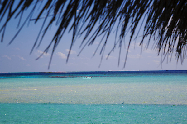포토 JPG 해외이미지 실루엣 바다 섬 자연 휴가 사람없음 야외 여름 고급 휴양지 인도양 방갈로 몰디브 터키석 해외포토 계절 아시아 컨셉 숙소 촬영기법 장소 보석 생태계 파일형식 이미지허브