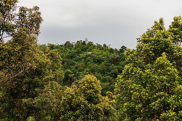 포토 JPG 해외이미지 식물 계절 아시아 섬 백그라운드 잎 겨울 자연 산 파노라마 사람없음 건물 목재 초록색 마을 숲 언덕 발리 인도네시아 장면 해외포토 나무 건축물 나라 컬러 재료 촬영기법 생태계 파일형식 이미지허브
