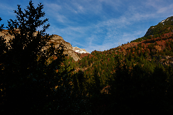 포토 JPG 해외이미지 여행 겨울 휴가 스키 휴식 산 사람없음 목재 농장 시골 소나무 정상 숲 언덕 만족 눈내림 해외포토 나무 계절 감정 컨셉 농업 재료 겨울스포츠 눈_날씨 파일형식 이미지허브