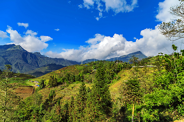 포토 JPG 해외이미지 나무 아시아 여행 백그라운드 밭 농업 자국 자연 하늘 산 파노라마 풍경 사람없음 야외 초록색 여름 파란색 컬러풀 환경 트래킹 하이킹 안개 시골 숲 땅 언덕 산등성이 오르기 알프스 베트남 장면 안심 천국 웅장함 절정 수평선 해외포토 식물 계절 유럽 나라 산업 컬러 모션 레저 날씨 촬영기법 육류 동남아시아 생태계 파일형식 이미지허브