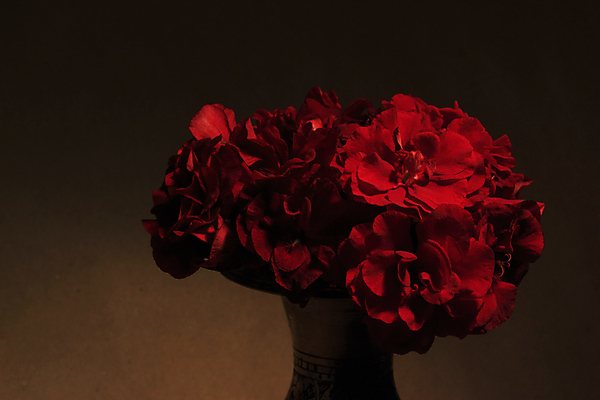 포토 JPG 해외이미지 식물 꽃잎 꽃 꽃다발 자연 검은배경 그림자 사람없음 가로 빨간색 빛 뷰티 장미 갈색 금속 꽃병 검은색 어둠 침묵 벚꽃 그늘 가난 다발 오브젝트 질감 열정 장면 부드러움 태평양 내추럴 꽃수술 정물화 많음 벨벳 해외포토 감정 바다 컬러 백그라운드 컨셉 재질 소리 감각 실크 그림 생태계 파일형식 이미지허브