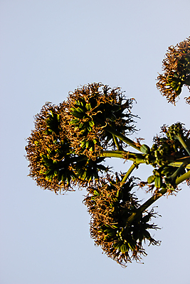 포토 JPG 해외이미지 모양 나무 식물 디자인 계절 공원 실루엣 백그라운드 잎 크리스마스 일러스트 자연 추상 풍경 사람없음 목재 그래픽 초록색 여름 세트 환경 정원 검은색 봄 성장 흰색 나뭇가지 숲 만화 수집 심볼 오브젝트 에코 유기농 윤곽 전나무 내추럴 고립 생태학 엘리먼트 해외포토 웰빙 공공시설 교육 기념일 컬러 무늬 재료 촬영기법 생태계 파일형식 이미지허브