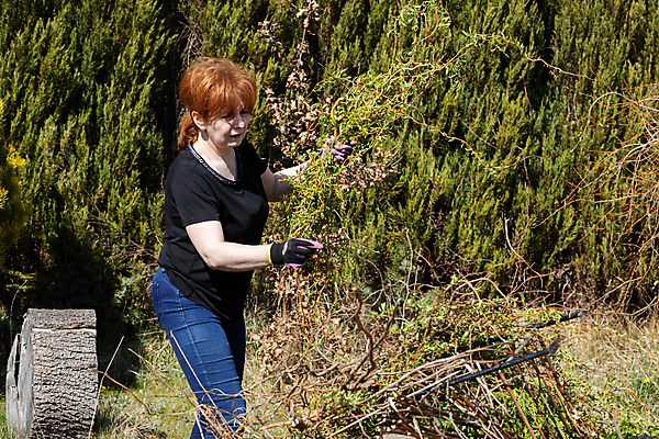 포토 JPG 해외이미지 나무 장갑 잎 한명 쌓기 봄 나뭇가지 작업 티켓 자르기 질서 포니테일 빨간머리 원예사 해외포토 식물 직업 1 헤어스타일 잡화 계절 모션 사람 예절 파일형식 이미지허브