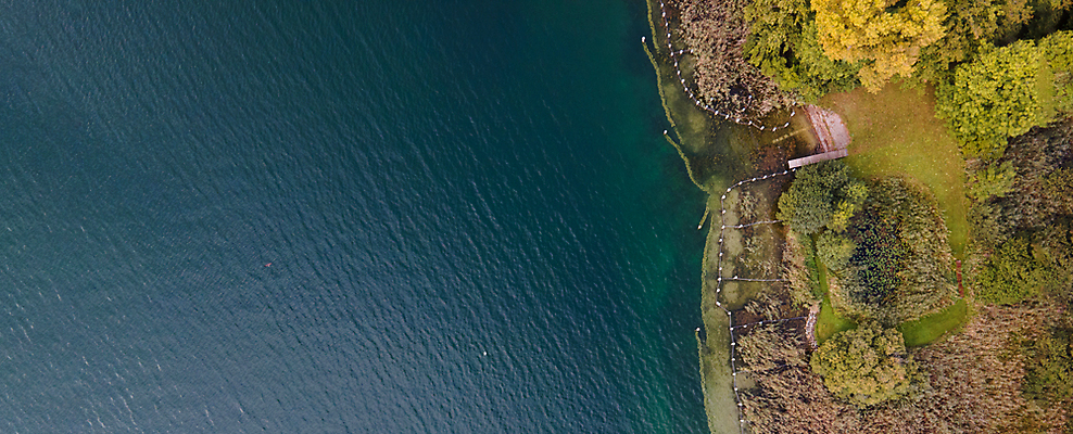 포토 JPG 해외이미지 라이프스타일 여자 노년 남자 수영복 행복 물결 청소년 조류 표면 휴식 열대 함께함 한명 사람 사람없음 두명 가로 컬러풀 햇빛 손잡기 수영 스파 침묵 고요 우정 활발 자유 투명 액체 개 크루즈 시원함 은퇴 순수 심플 아일랜드 석호 파라다이스 해외포토 동물 1 옷 감정 유럽 컬러 컨셉 배_교통 포유류 모션 성인 생활 친구 태양 소리 수상스포츠 파일형식 이미지허브