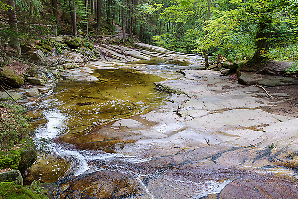 포토 JPG 해외이미지 나무 계절 공원 유럽 여행 백그라운드 자연 산 풍경 사람없음 야외 목재 초록색 물 여름 강 환경 폭포 흐름 추위 바위 나뭇가지 개울 숲 장면 체코 내추럴 전국 해외포토 자연요소 식물 공공시설 나라 컬러 컨셉 재료 돌_바위 생태계 파일형식 이미지허브