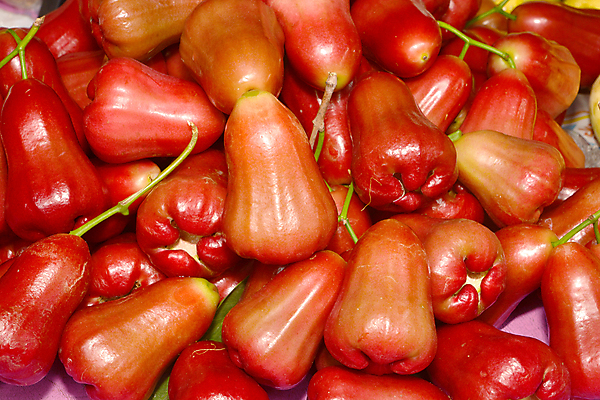 포토 JPG 해외이미지 전통 라이프스타일 계절 음식 다이어트 과일 재료 디저트 산 건강 사람없음 빨간색 농장 정원 주스 샐러드 신선 최고 칵테일 시장 닫기 달콤 맛 사과 매끈함 복지 숙성 채식주의자 해외포토 음료 컬러 컨셉 농업 모션 주류 생활 감각 사회이슈 채식 파일형식 이미지허브