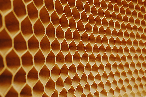 포토 JPG 해외이미지 모양 디자인 산업 종이 백그라운드 패턴 포장 벽지 추상 세포 사람없음 갈색 우주 재활용 화물 구멍 보호 질감 육각형 패키지 수납 시트 갈비뼈 짐싸기 벌집 판지 패드 많음 해외포토 도형 컬러 컨셉 무늬 뼈 운송업 친환경 파일형식 이미지허브