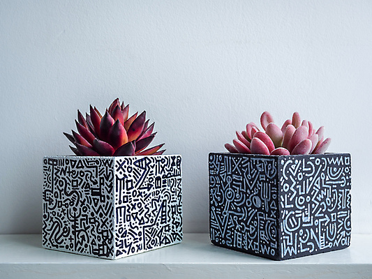 포토 JPG 해외이미지 식물 디자인 꽃 분홍색 컨셉 패턴 자연 선반 선인장 주택 미술 사람없음 내부 장식 빨간색 상자 컬러풀 검은색 흰색 신선 도자기 그리기 냄비 컨테이너 정사각형 시멘트 리빙 DIY 고립 미니 심기 콘크리트 특별함 핸드메이드 스타일 미니멀 해외포토 도형 산업 컬러 가구 무늬 모션 문화예술 취미 건물 솥 생태계 파일형식 이미지허브