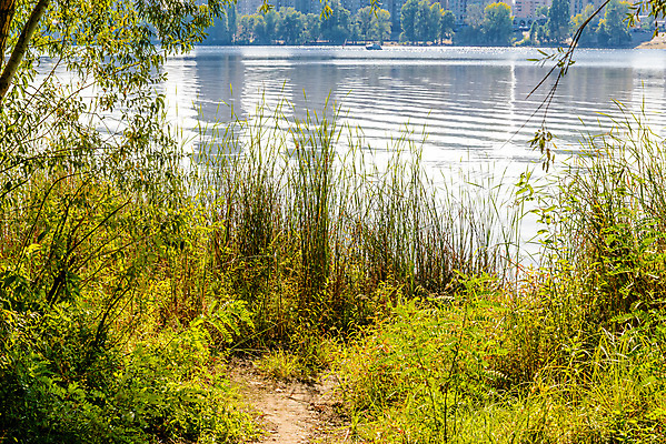 포토 JPG 해외이미지 나무 계절 호수 자연 하늘 아침 사람없음 초록색 물 파란색 강 햇빛 태양 반사 일출 맑음 봄 연못 숲 우크라이나 해외포토 주간 자연요소 식물 유럽 컬러 날씨 노을 생태계 파일형식 이미지허브