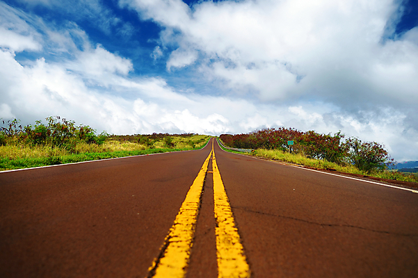 포토 JPG 해외이미지 계절 도로 선 바다 섬 여행 교통시설 자연 하늘 휴가 산 거리 숙이기 풍경 사람없음 야외 초록색 파란색 컬러풀 노란색 미국 봄 도전 뱀 고속도로 보행로 변화 숲 대표 아스팔트 방향 언덕 하와이 골 굴곡 방법 직진 해외포토 길 컬러 포즈 교통 컨셉 북아메리카 파충류 시설 생태계 파일형식 이미지허브