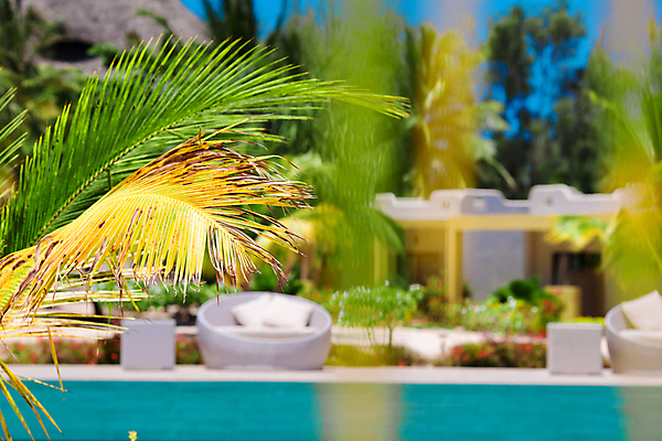 포토 JPG 해외이미지 주간 호텔 리조트 수영장 사람없음 야외 야자수잎 해외포토 자연요소 잎 숙소 파일형식 이미지허브