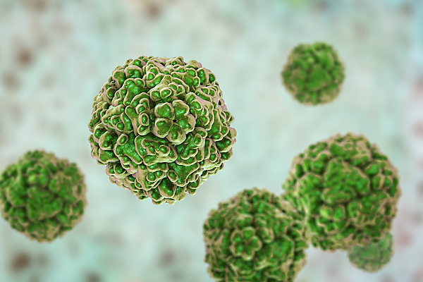 포토 JPG 해외이미지 손 과학 일러스트 가족 세포 건강 사람 사람없음 컬러풀 약 3D 고통 추위 입 바이러스 질병 뇌 에코 생물학 감염 전염 미생물 양발 전염병 해외일러스트 교육 감정 컬러 의학 관계 생물 신체부위 환경 디지털합성 파일형식 이미지허브