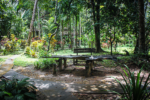 포토 JPG 해외이미지 나무 식물 길 이동 벤치 의자 자연 휴가 풍경 사람없음 목재 초록색 행성 신선 우아함 숲 많음 그리너리 해외포토 컬러 가구 컨셉 재료 우주 생태계 파일형식 트랜드컬러 이미지허브