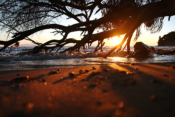 포토 JPG 해외이미지 나무 실루엣 호수 파도 바다 섬 여행 백그라운드 생각 오렌지 자연 하늘 휴가 휴식 사람없음 빨간색 물 파란색 빛 햇빛 태양 반사 일출 황혼 일몰 광선 만 명상 남쪽 혼자 수평선 해외포토 자연요소 식물 컬러 컨셉 과일 촬영기법 노을 방향 생태계 파일형식 이미지허브