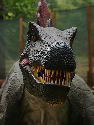 포토 JPG 해외이미지 모델 사람없음 숫자 머리 피규어 입 치아 공룡 흰배경 눈금 육식동물 선사시대 턱 몬스터 정물화 쥬라기 해외포토 동물 문자 백그라운드 파충류 신체부위 미니어처 흰색 소화기관 역사 그림 파일형식 이미지허브