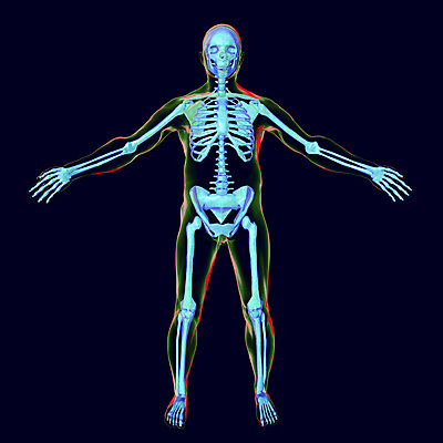 포토 JPG 해외이미지 남자 스포츠 과학 백그라운드 신체 일러스트 해부 뼈 골격 엑스레이 건강 사람 사람없음 파란색 약 3D 흰색 투명 가득함 척추 생물학 파란배경 고립 해외일러스트 교육 컬러 의학 디지털합성 파일형식 이미지허브