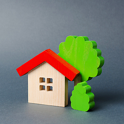 포토 JPG 해외이미지 나무 컨셉 엄마 지붕 부동산 새로움 주택 사랑 사람없음 건물 목재 초록색 금융 판매 환경 침묵 재산 수리 둥지 보호 구매 시골집 보안 투자 보험 시민 대출 빚 교외 렌탈 해외포토 식물 건축물 감정 컬러 비즈니스 재료 가족 안전 경제 쇼핑 소리 국민 파일형식 이미지허브