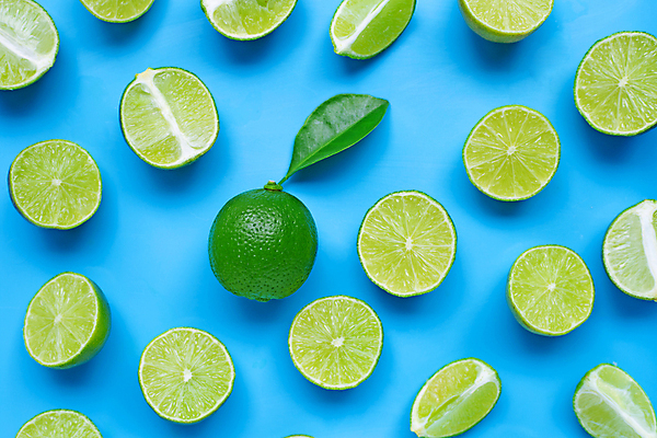 포토 JPG 해외이미지 잎 단면 사람없음 파란배경 라임 해외포토 식물 백그라운드 과일 파란색 파일형식 이미지허브