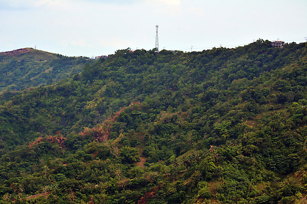 포토 JPG 해외이미지 주간 나무 아시아 잎 자연 아침 산 풍경 사람없음 야외 초록색 시골 장면 해외포토 자연요소 식물 나라 컬러 생태계 파일형식 이미지허브