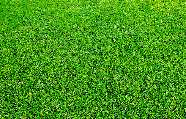 포토 JPG 해외이미지 식물 스포츠 백그라운드 패턴 밭 농업 골프 자연 추상 잔디 사람없음 야외 초록색 환경 정원 축구 경기장 봄 활발 성장 게임 신선 칼날 땅 질감 지역 내추럴 땅바닥 인공 해외포토 계절 산업 컬러 컨셉 무늬 스포츠시설 놀이 바닥 구기 생태계 파일형식 이미지허브