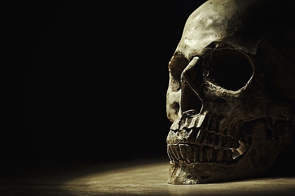 포토 JPG 해외이미지 얼굴 과학 백그라운드 해부 뼈 골격 사람 사람없음 머리 검은색 어둠 할로윈 죽음 치아 무서움 심볼 뇌 턱 썩음 옛날 해골모형 해외포토 감정 컬러 의학 신체부위 모형 소화기관 파일형식 이미지허브