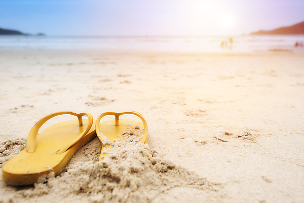 포토 JPG 해외이미지 커플 계절 모래 파도 바다 분홍색 여행 신발 2 발 자연 휴가 휴식 스트레스 해변 사람없음 물 모래사장 햇빛 수영 침묵 하이킹 뜨거움 쌍 샌들 주말 고무 단계 남쪽 해외포토 자연요소 컬러 컨셉 관계 레저 신체부위 태양 소리 수상스포츠 방향 생태계 파일형식 이미지허브